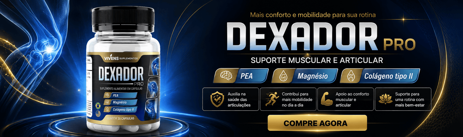 Banner Dominus Fit